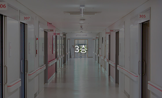 3층